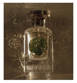 Ibrido gaya verde 75 ml - Anfas Spedizione gratuita e consigli!