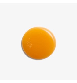 Stabilizing Purifiying Concentrate - Natura Bisse