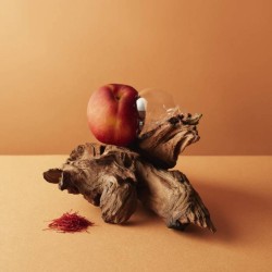 Let'S Pretend - Etat Libre d'Orange