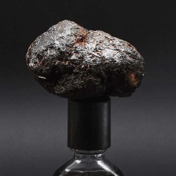Stercus 50 ml - Orto Parisi