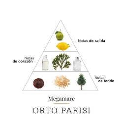Megamare 50 ml - ORTO ADVISTORIO ADVISORY E SPEDIZIONE GRATUITA!