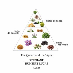The Queen and The Viper - Stephane Humbert Lucas