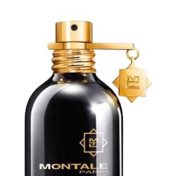 Oud Edition 100 ml - Montale Paris