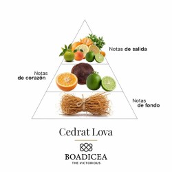 Energizer 100 ml - Boadicea The Victorious Consigli e spedizioni gratuiti!
