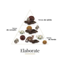 Elaborate 100 ml - Boadicea The Victorious