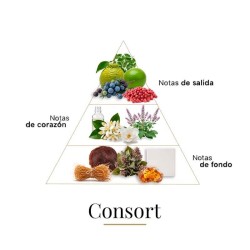 Consort 100 ml - Boadicea The Victorious Consigli e spedizioni gratuiti!