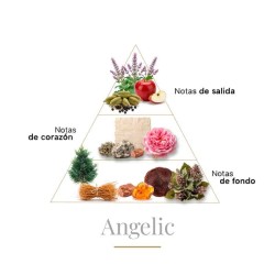 Angelic 100 ml - Boadicea The Victorious