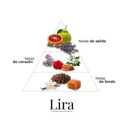 Lira - Casamorati