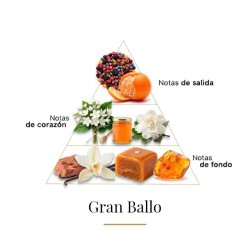 Gran Ballo - Casamorati
