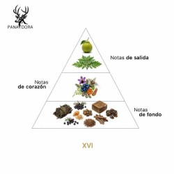 XVI - Consulenza di Pana Dora e spedizione gratuita!