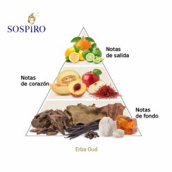 Erba Oud 100 ml - Sospiro