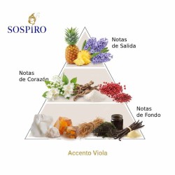 Accento Viola 100 ml - Sospiro