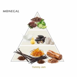 Giamino 75 ml - Ramon Monegal Consigli e spedizioni gratuiti!
