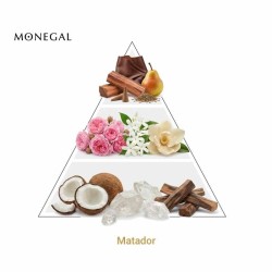 Matador - Ramon Monegal