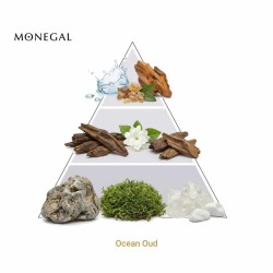Ocean Oud Extrait de Parfum 50 ml - Ramon Monegal Spedizione gratuita!