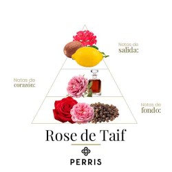 Rose de Taif - Perris Monte Carlo consultivo e spedizione gratuita!