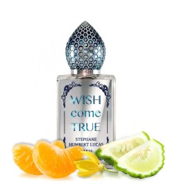 Wens Kom uit 50 ml - Stephane Humbert Lucas Gratis verzending!