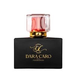 玫瑰 -  Dara Caro 免费咨询和出货量！