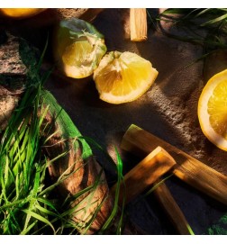 Vetiver pour homme parfum - Consulenza e spedizione gratuiti rossi!