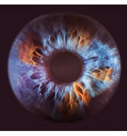 Primo piano Olfactive Studio Consigli e spedizioni gratuiti!