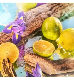 Oceania Eau de Parfum - conselho vermelho e frete grátis!