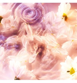丑闻倒Femme EDP  -  | 香水劳拉 - 邮费全免