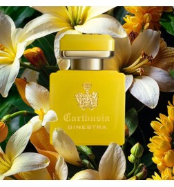 Intense perfume di ginestra 50 ml - Carthusia | Perfumery Laura - Free Shipping