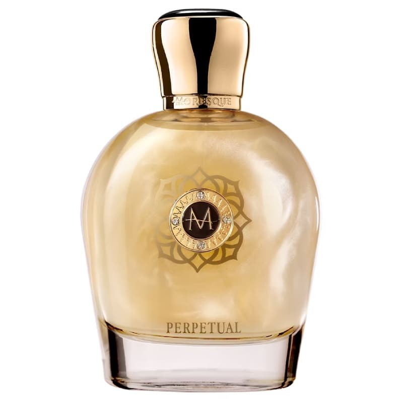 Perpetual EDP 100 ml - Moresque | Profumery Laura - Spedizione gratuita