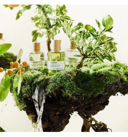 Limoenzus - Liquides Imaginaires Gratis advies en zendingen!
