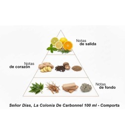 Lord Dias, la Colonia di carbonio 100 ml - Comporta | Profumery Laura - Spedizione gratuita