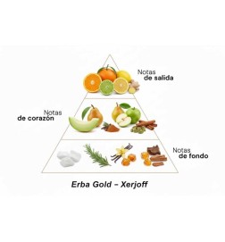 ERBA GOLD - Xerjoff Consigli e spedizioni gratuiti!
