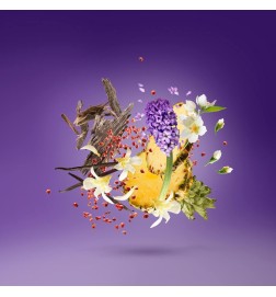 Accento viola 100 ml - Xerjoff Consigli e spedizioni gratuiti!