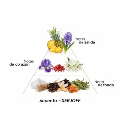 Accelemento - Xerjoff Aconselhamento gratuito e remessas!