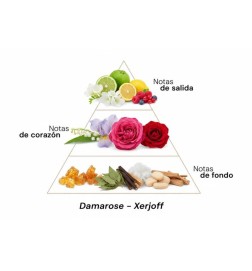 Damarose - Xerjoff