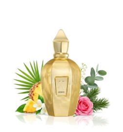 Accelement Overdose 100 ml - Xerjoff