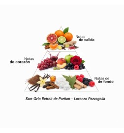 Sun-gria Lorenzo Pazzaglia Spedizione gratuita!