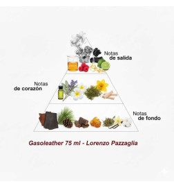 Gasolatário - Lorenzo Pazzaglia