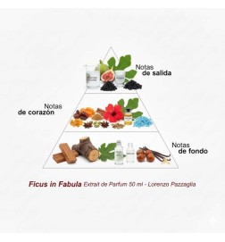 Facula榕属于parfum 50 ml  -  Lorenzo Pazzaglia