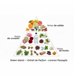Green Island - Lorenzo Pazzaglia