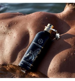 Arabians Tonka - Montale Paris | Perfumería Laura - Envio Gratis