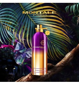Instinto sensual - Montale Paris | Perfumaria Laura - Frete Grátis