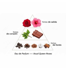 Aoud Rainha Roses - Montale Paris Aconselhamento gratuito e remessas!