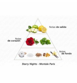 Intensywne gwiaździste noce 100 ml Montale Paris Darmowa porada i przesyłki!