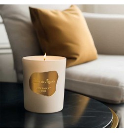 Ambre des Abysses candle 195 g - Houbigant Paris