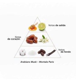 Arabi muschiati - Montale Paris Consigli e spedizioni gratuiti!