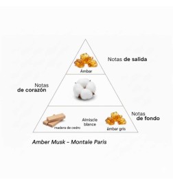 Amber Musk - Montale Paris | Profumery Laura - Spedizione gratuita