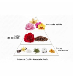 Intense Café - Montale Paris