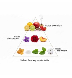 Fantasia di velluto - Montale Paris Consigli e spedizioni gratuiti!