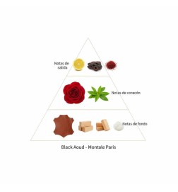 Czarny boud - Montale Paris | Perfumeria Laura - Darmowa wysyłka