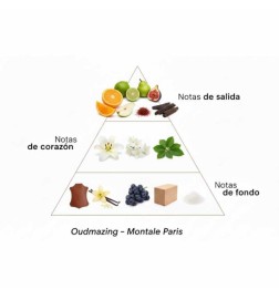 Oudmazing - Montale Paris | Profumery Laura - Spedizione gratuita